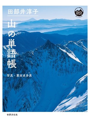 cover image of 田部井淳子 山の単語帳